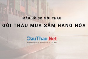 Mẫu hồ sơ mời thầu mua sắm hàng hóa và một số lưu ý quan trọng