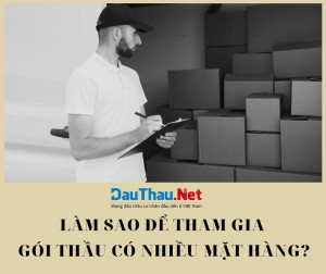 Gói thầu có nhiều mặt hàng