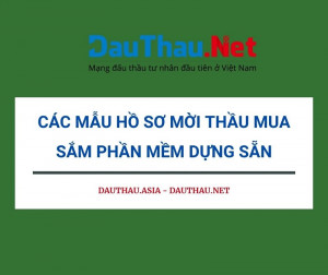 Mẫu hồ sơ mời thầu mua sắm phần mềm dựng sẵn dành cho đấu thầu tư nhân