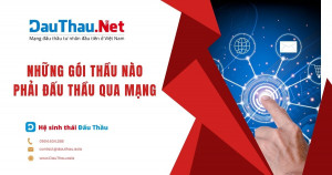 Những gói thầu nào phải đấu thầu qua mạng?