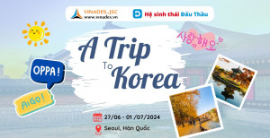 Hệ sinh thái Đấu Thầu tổ chức Tour du lịch mùa hè tại Hàn Quốc cho nhân sự 3 miền từ 27/6/2024 - 01/07/2024