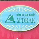 CÔNG TY TNHH MỘT THÀNH VIÊN LÂM NGHIỆP M'ĐRẮK