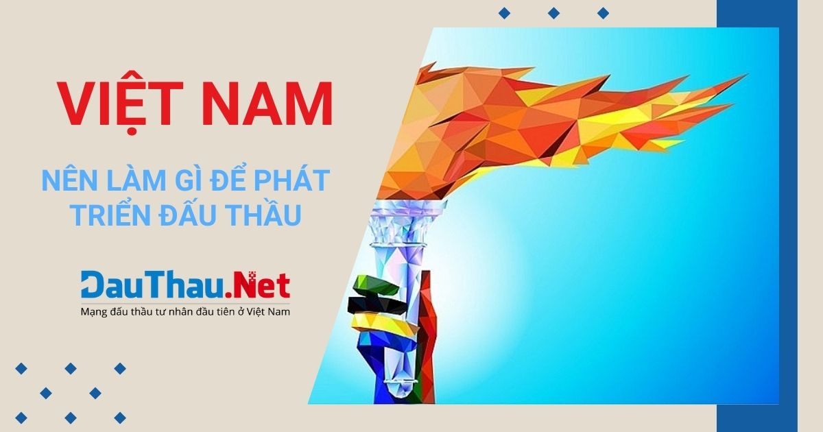 Việt Nam nên làm gì để phát triển đấu thầu tư nhân?